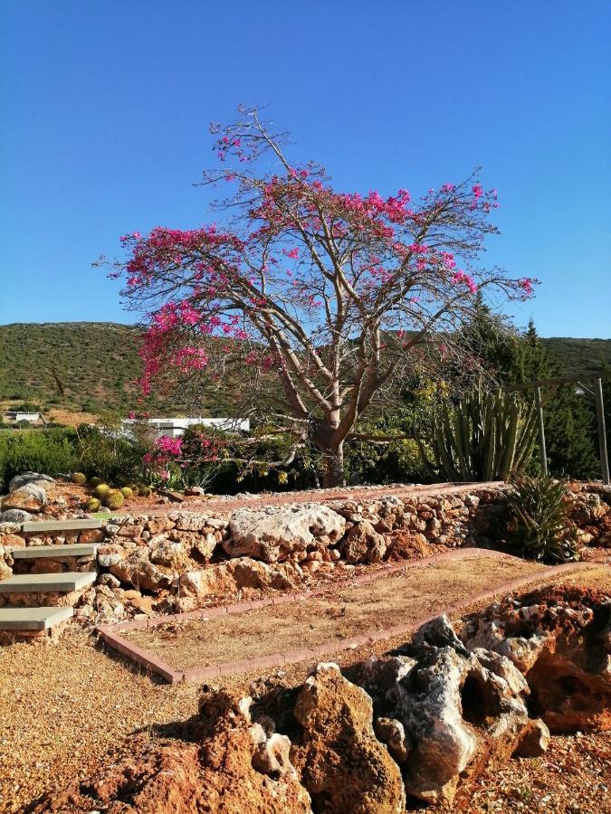 Duas Casas De Ferias Medronhal Faro Em 520 - 2 Buitenkant foto